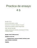 Practica de ensayo - ciencias naturales