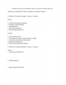 Contaminacion ambiental.