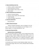 INFORME DE EVALUACIÓN LENGUAJE, SOCIAL Y COGNITIVO.
