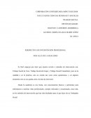 PERSPECTIVA DE INTERVENCIÓN PROFESIONAL