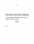 TEMA: BITACORA DE OBSERVACION