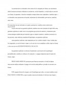 Fonasa - Las prestaciones