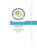 Proyecto Feria De Ciencias.
