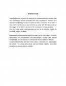 Administracion Rasgos de Personalidad