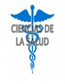 Proyecto Trabajo Semestral.