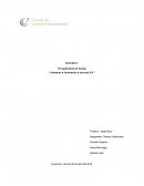 Actividad 1: Procedimiento de Ventas “Lámparas e iluminación a oscuras S.A.”