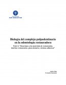 Biología del complejo pulpodentinario.