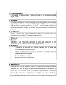 BOSQUEJO PROPUESTA DE INVESTIGACION.