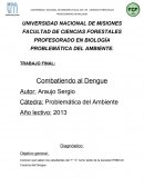 PROBLEMÁTICA DEL AMBIENTE. Combatiendo al Dengue