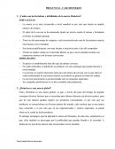 TEMA: PREGUNTAS - CASO HEINEKEN.