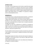 Ensayo el principito.