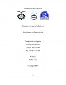 Gastronomía Ecuatoriana.