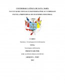 Sistemas y Tecnologías de la Información.