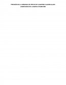 PREVISIÓN DE LA DEMANDA DE VENTAS DE CUADERNO CUADRICULADO JUNIOR BOOK DE LA MARCA STANDFORD