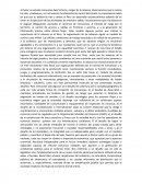 Al hacer un estudio minucioso dela historia y origen de la Aduana.