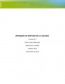 Enfoques de Gestión de la Calidad.