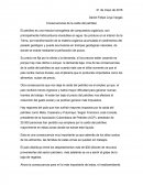 Consecuencias caída del petroleo.