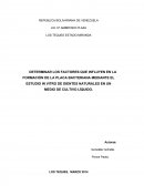 DETERMINAR LOS FACTORES QUE INFLUYEN EN LA FORMACIÓN DE LA PLACA BACTERIANA MEDIANTE EL ESTUDIO IN VITRO DE DIENTES NATURALES EN UN MEDIO DE CULTIVO LÍQUIDO.