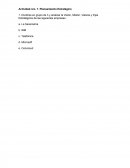 Actividad nro. 7. Planeamiento Estratégico