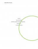 La selección de indicadores de eficiencia debería adecuarse a la naturaleza de sus actividades y los objetivos de la SST