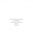 En esta primera semana de estudio, desarrolle un cuadro, exponiendo claramente las diferencias de los efectos que puede producir la exposición a un contaminante.