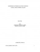 El bullying en el entorno social