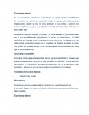 Experiencia laboral.
