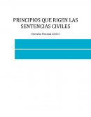 Principios que rigen una sentencia civil.