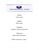 Liderazgo y Técnicas de Supervisión.