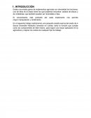 Arado Hidráulico reversible.