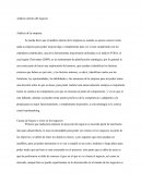 Análisis Interno del Negocio