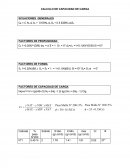 Calculo de capacidad de carga.