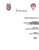 Conceptos basicos del comprotamiento del consumidor.