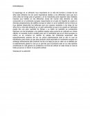 Esparragos - Reporte.