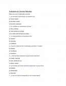 Evaluacion ciencias naturales. Los animales inverterbrados etc