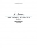 PRACTICA EXPERIMENTAL DE RECONOCIMIENTO DE ALCOHOLES.
