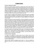 Derecho constitucional. COMENTARIO