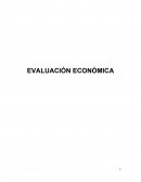 Evaluación económica de un proyecto.