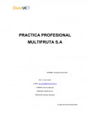 Multifruta es una compañía prestadora de servicios comprometida con la empresa exportadora. Ofrece servicios de embalaje y frio. Y se encuentra ubicada en la zona más potente de producción de fruta.