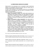 TEMA DE LA COMPUTADORA COMO UNA CAJA NEGRA.