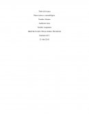 Marco teórico y metodológico.