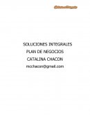 SOLUCIONES INTEGRALES PLAN DE NEGOCIOS