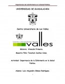 Ensayo Importancia de la Enfermeria en la Salud Publica.