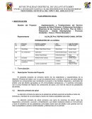 Plan operativo anual 2013.