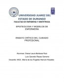 ENSAYO CRÍTICO DEL CUIDADO PROFESIONAL.