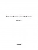 Sociedades animales y sociedades humanas