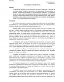 LAS ILUSIONES A TRAVÉS DEL DÍA