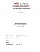 El Trabajo academico de investigacion