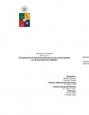 “Estequiometria II: Relaciones ponderales de una reacción química.