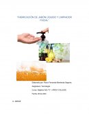 Fabricación de jabón líquido y limpiador facial